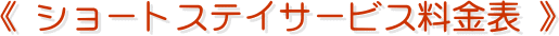 s V[gXeCT[rX\ t