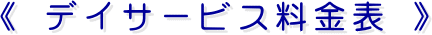 《 デイサービス料金表 》
